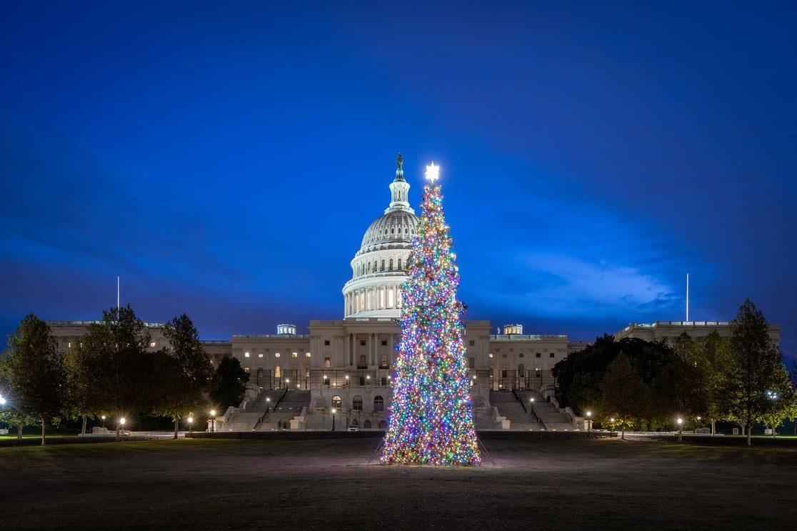 Capitol Christmas Tree