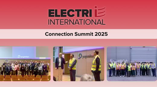 ELECTRI International